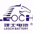 Leoch International Technology Ltd