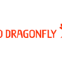 Zhejiang Red Dragonfly Footwear Co Ltd