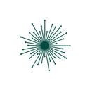 Lotus Technology Inc.