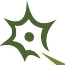 NervGen Pharma Corp