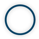 Oncolytics Biotech Inc
