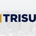 Trisul S.A